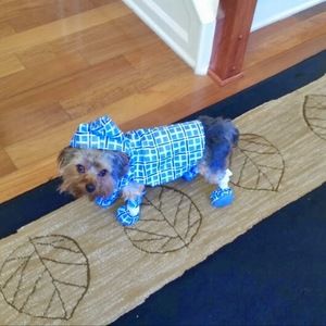 Meet your Posher, Tracey